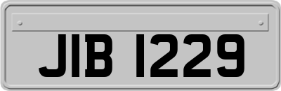 JIB1229