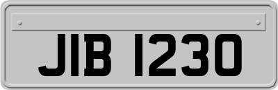 JIB1230
