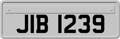 JIB1239
