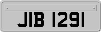 JIB1291