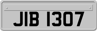 JIB1307