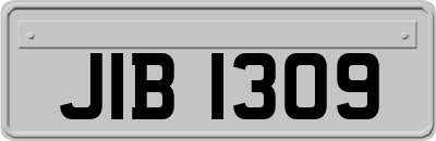 JIB1309