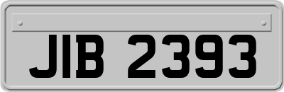 JIB2393