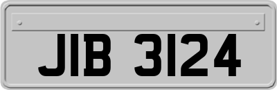 JIB3124