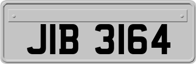 JIB3164
