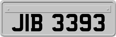JIB3393