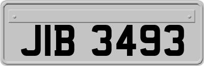 JIB3493