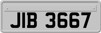 JIB3667