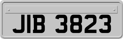 JIB3823