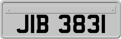 JIB3831