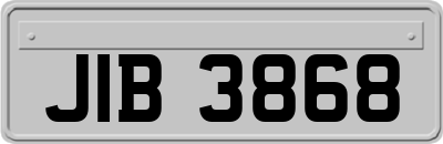 JIB3868