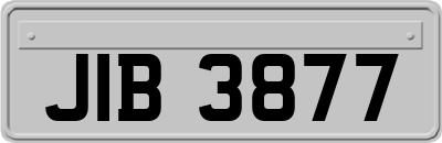 JIB3877