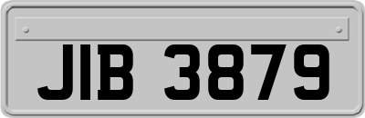 JIB3879