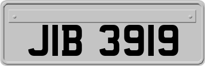 JIB3919