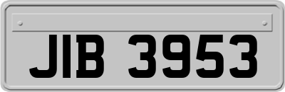 JIB3953