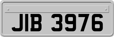 JIB3976
