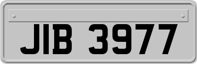 JIB3977