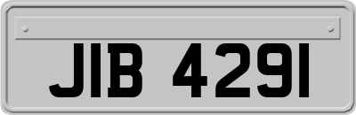 JIB4291