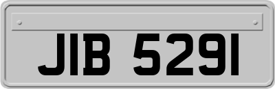 JIB5291