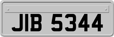 JIB5344