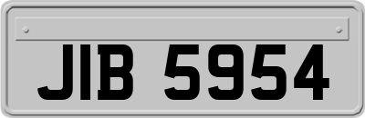 JIB5954
