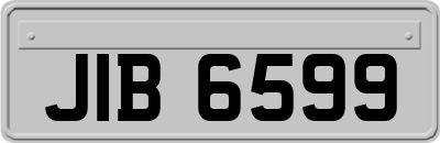 JIB6599