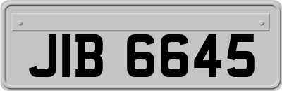 JIB6645