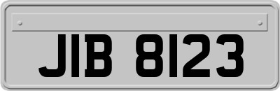 JIB8123