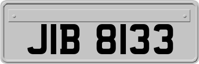 JIB8133