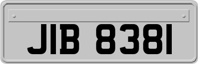 JIB8381