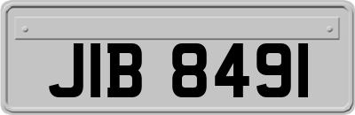JIB8491