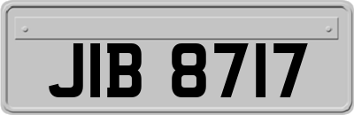 JIB8717