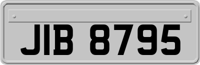 JIB8795
