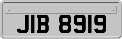 JIB8919
