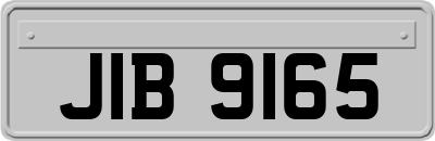 JIB9165