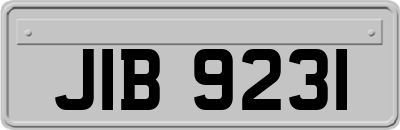 JIB9231
