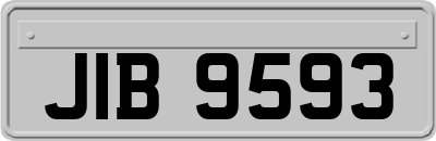 JIB9593