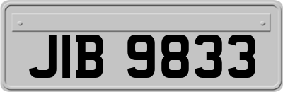 JIB9833