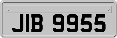 JIB9955