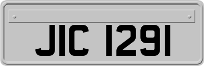 JIC1291