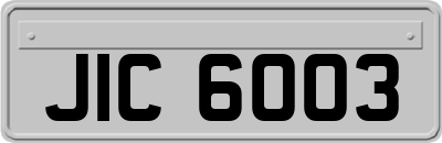 JIC6003
