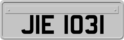 JIE1031