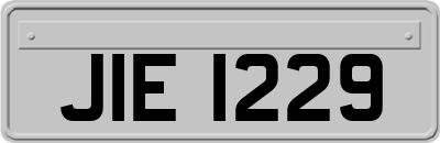 JIE1229