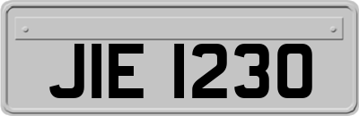 JIE1230