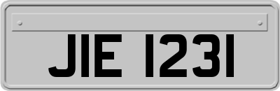 JIE1231
