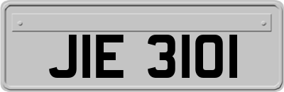 JIE3101