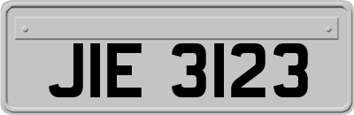 JIE3123