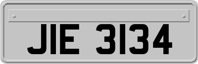 JIE3134