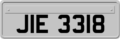JIE3318