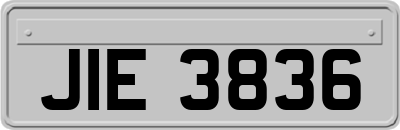 JIE3836
